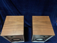 Полочные акустические системы Leak Sandwich 150 Цвет: Орех [WALNUT]