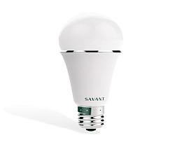 Светодиодные лампы SAVANT LIG-IA19C4