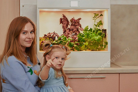 АГРОКЛАСС. Агролаборатория ECOBOX ED АГРОКЛАСС. Агролаборатория ECOBOX ED