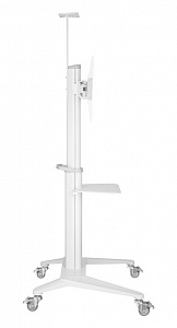 Стойка мобильная Digis DSM-P764C