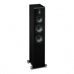 Quad S-5. Цвет: Черный дуб [ Black Oak ]