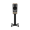 Полочная АС Dynaudio Confidence 20