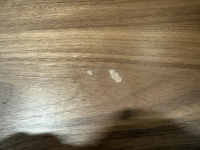 Полочная акустическая система Wharfedale 85th Anniversary Linton Цвет: Орех [ANTIQUE WALNUT]