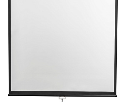 Экран настенный с ручным приводом Digis DSOD-16906MW