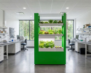 Комбинированная гидропонная система для экспериментальной деятельности в области растениеводства