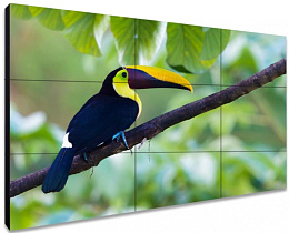 ЖК-панель для видеостен Exell EXPD-WA55AB35 55"