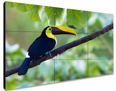 ЖК-панель для видеостен Exell EXPD-WA46AB05 46" ЖК-панель для видеостен Exell EXPD-WA46AB05 46"