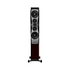 Напольная АС Dynaudio Confidence 60