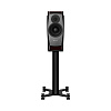 Полочная АС Dynaudio Confidence 20