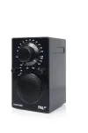 Портативный радиоприемник Tivoli PAL BT Цвет: Черный [Black]