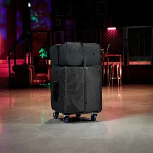 Комплект аксессуаров LD Systems DAVE 12 G4X BAG SET Комплект аксессуаров LD Systems DAVE 12 G4X BAG SET