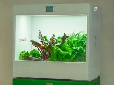 Гидропонная установка Агроаспект+ ECOBOX ED