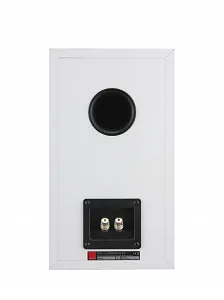 Полочная акустическая система DALI OBERON 3 Цвет: Белый[WHITE]