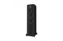 Напольная АС Wharfedale EVO 5.4 Цвет: Черный [BLACK]