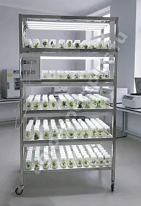 Микроклональная установка VeFarm-Invitro Микроклональная установка VeFarm-Invitro